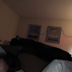 Meet your Posher, Tyler